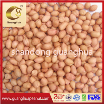 Best Quality Baisha Peanut Kernels New Crop Round Shape